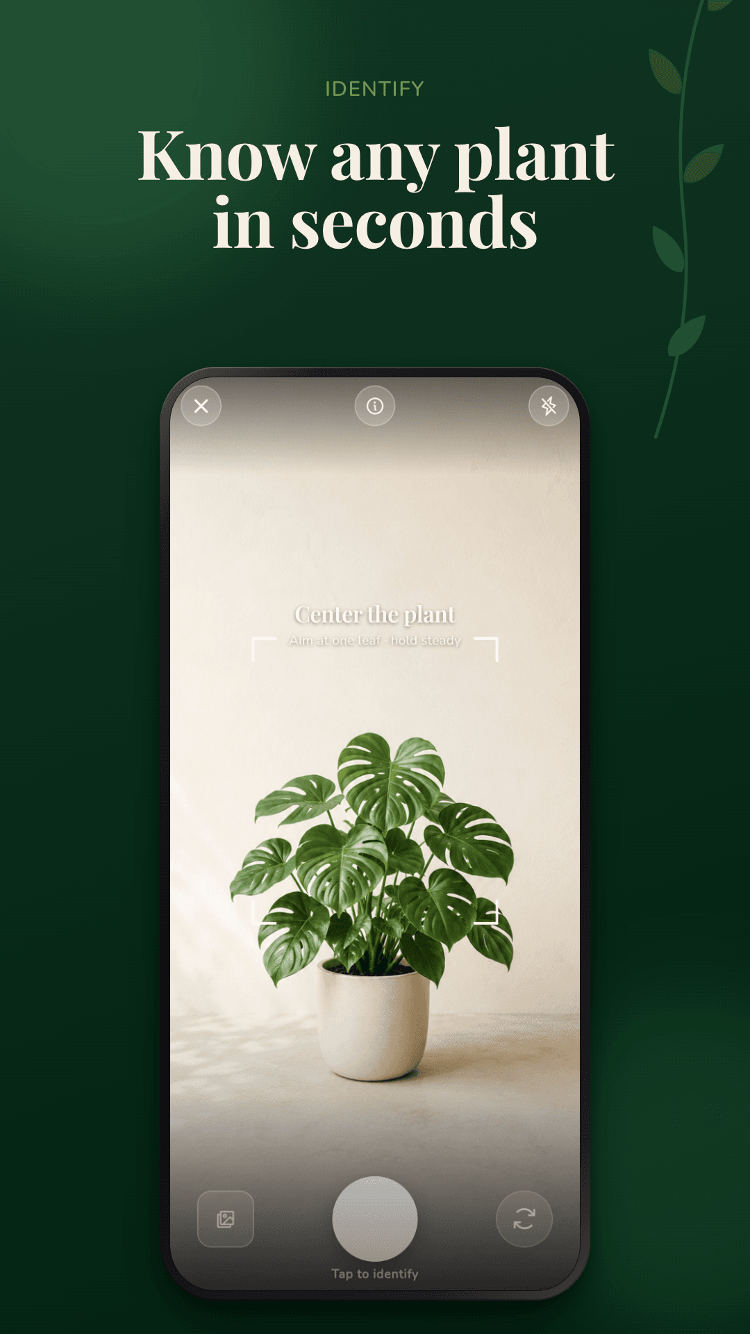 Rooted home dashboard with today’s plant-care tasks